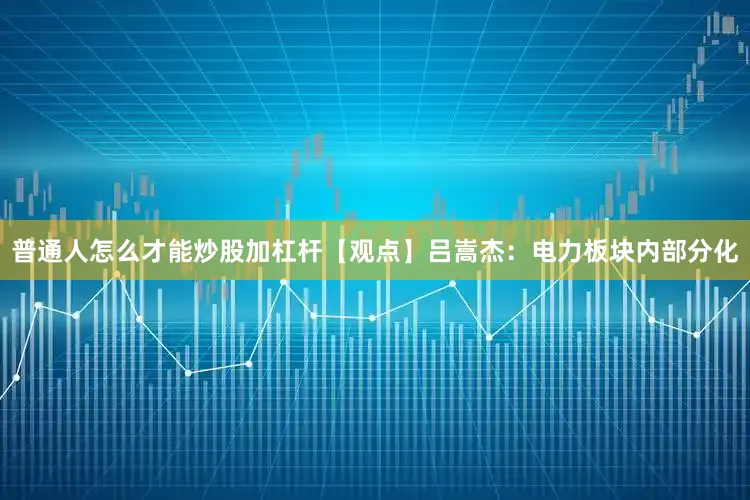 普通人怎么才能炒股加杠杆【观点】吕嵩杰:电力板块内部分化