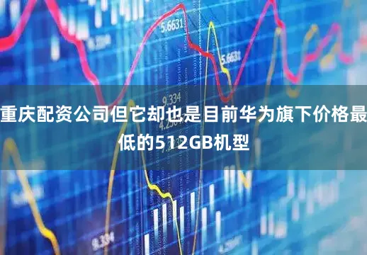 重庆配资公司但它却也是目前华为旗下价格最低的512GB机型
