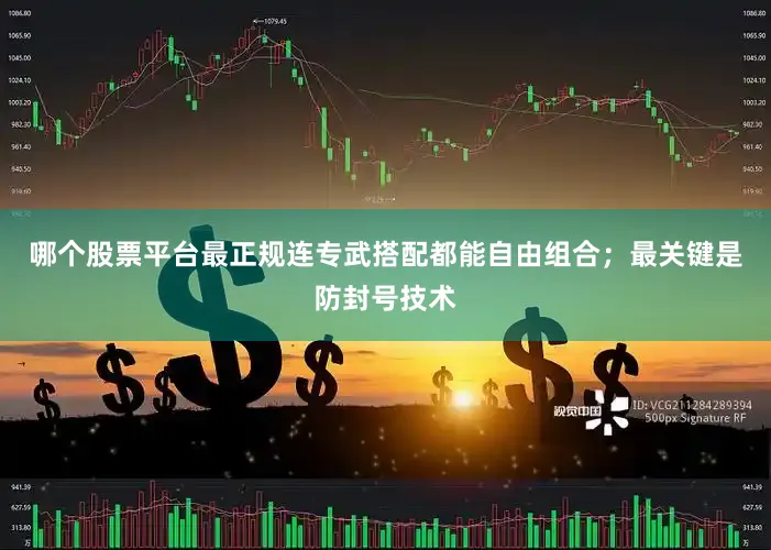 哪个股票平台最正规连专武搭配都能自由组合；最关键是防封号技术