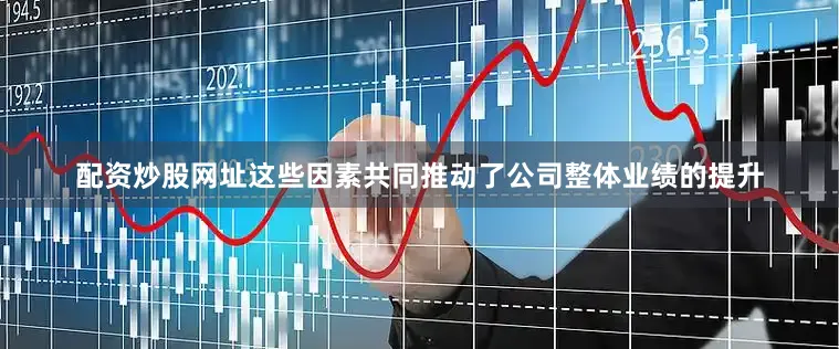 配资炒股网址这些因素共同推动了公司整体业绩的提升