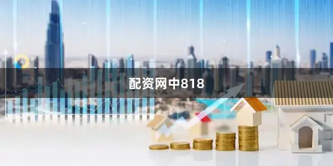 配资网中818