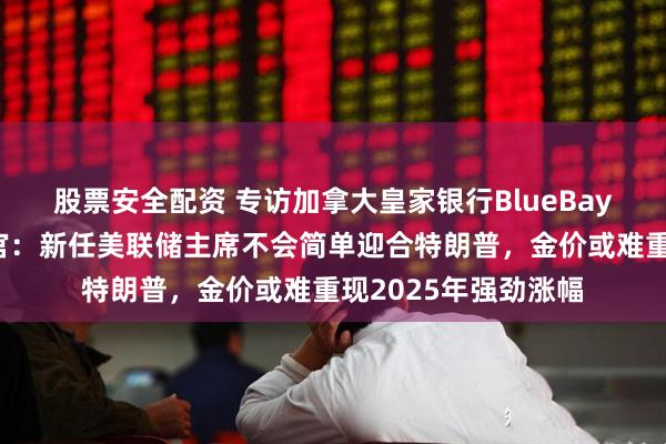 股票安全配资 专访加拿大皇家银行BlueBay资管公司首席投资官：新任美联储主席不会简单迎合特朗普，金价或难重现2025年强劲涨幅